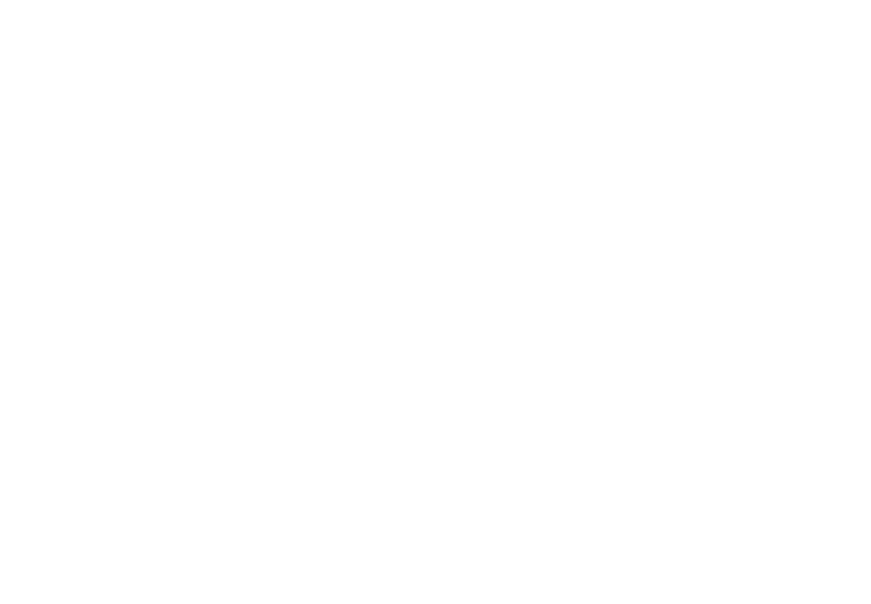 Renzo Ertmann